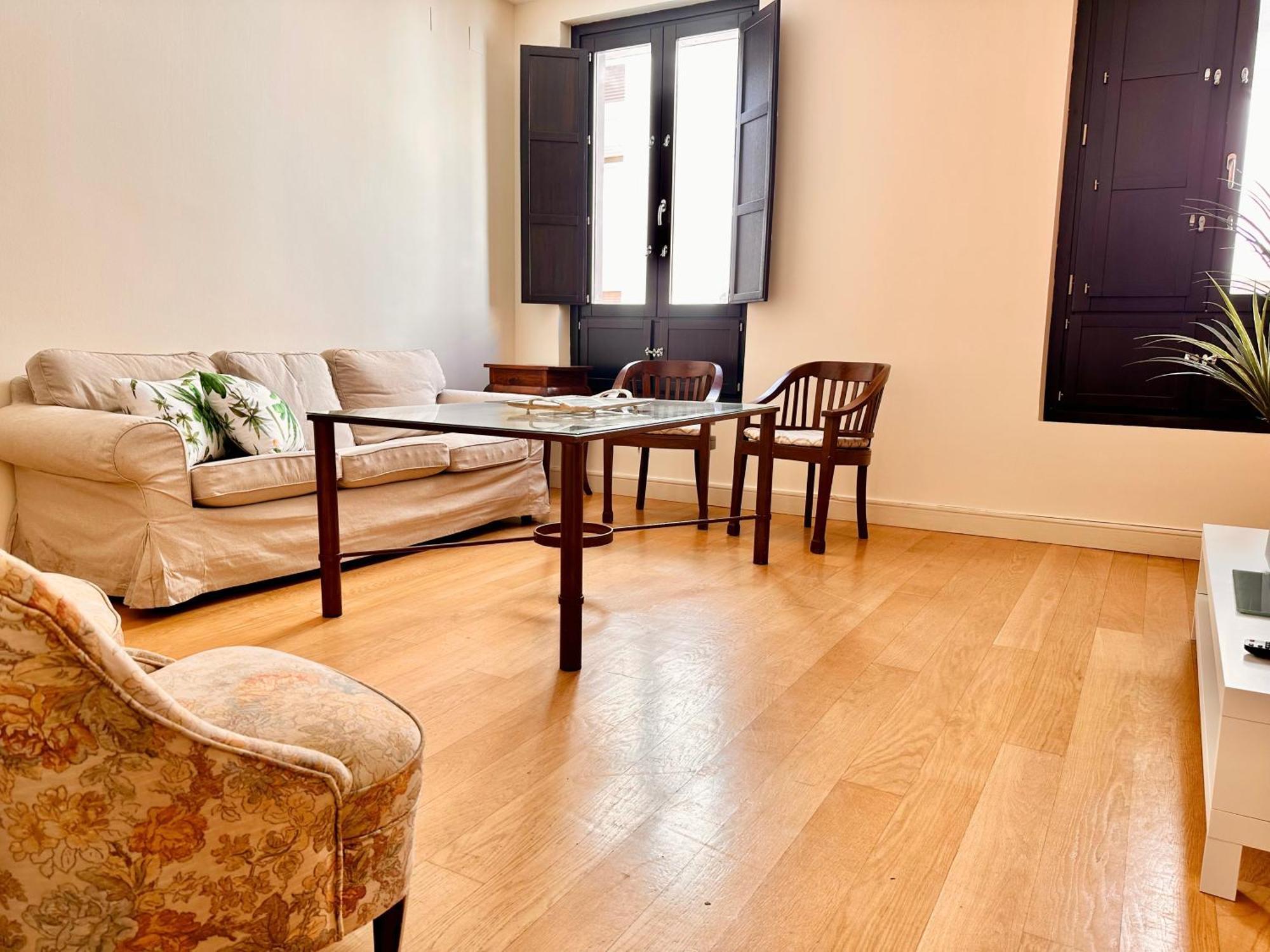 Penthouse Near Cathedral Private Rooftop Private Parking 塞维利亚 外观 照片