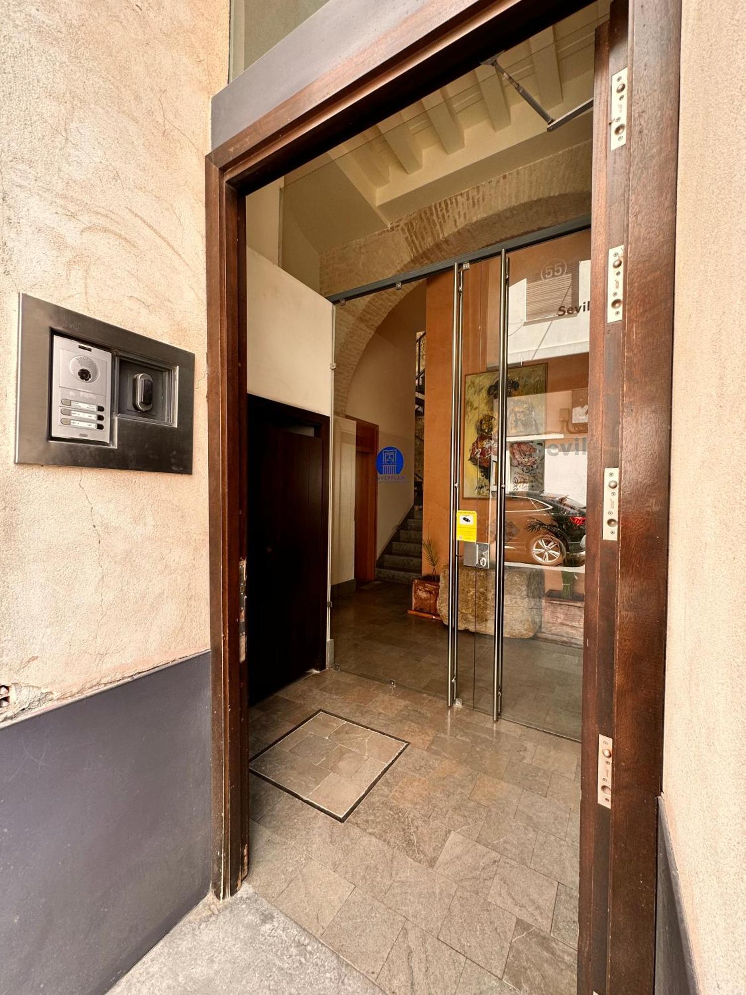 Penthouse Near Cathedral Private Rooftop Private Parking 塞维利亚 外观 照片