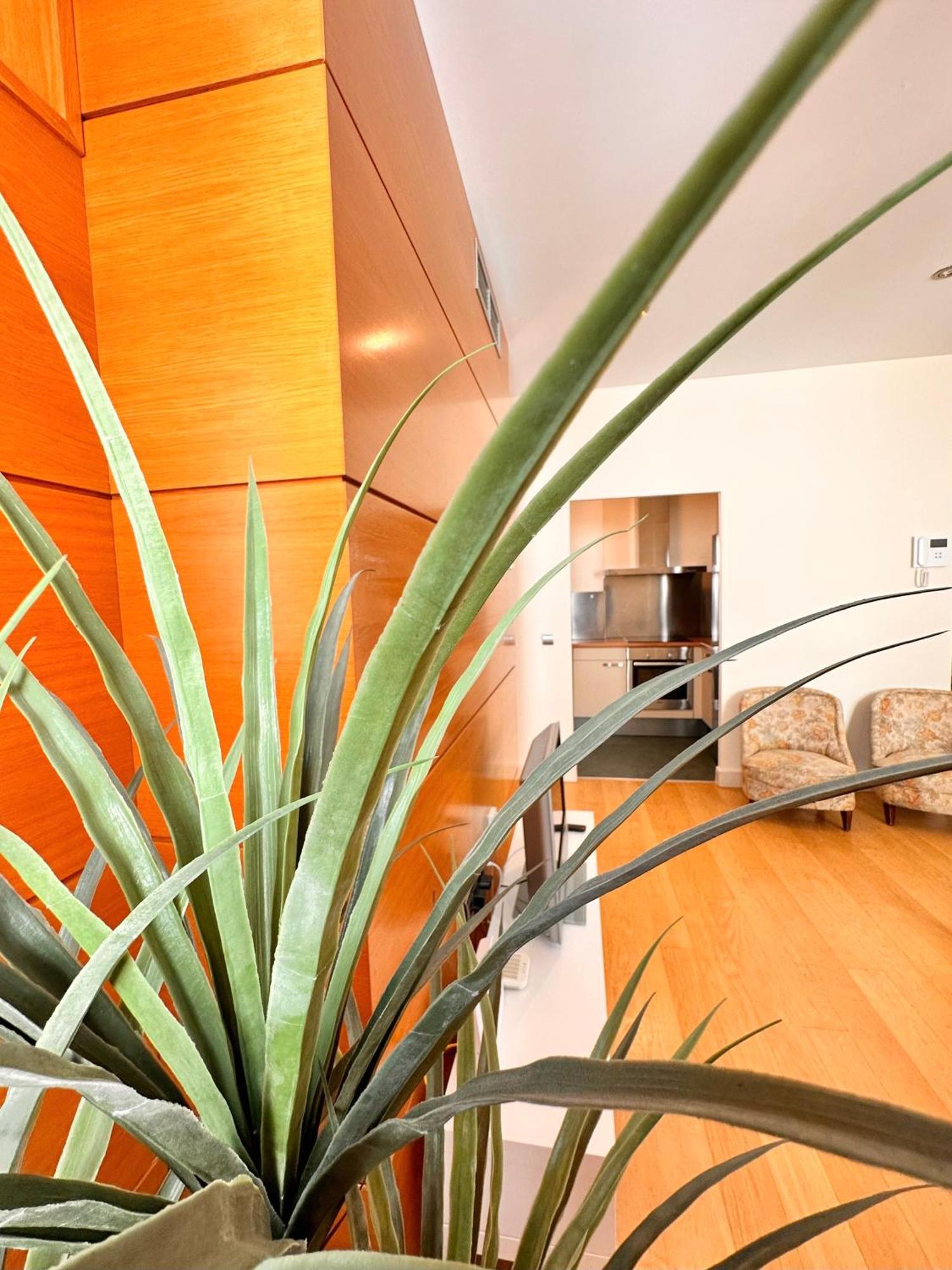 Penthouse Near Cathedral Private Rooftop Private Parking 塞维利亚 外观 照片
