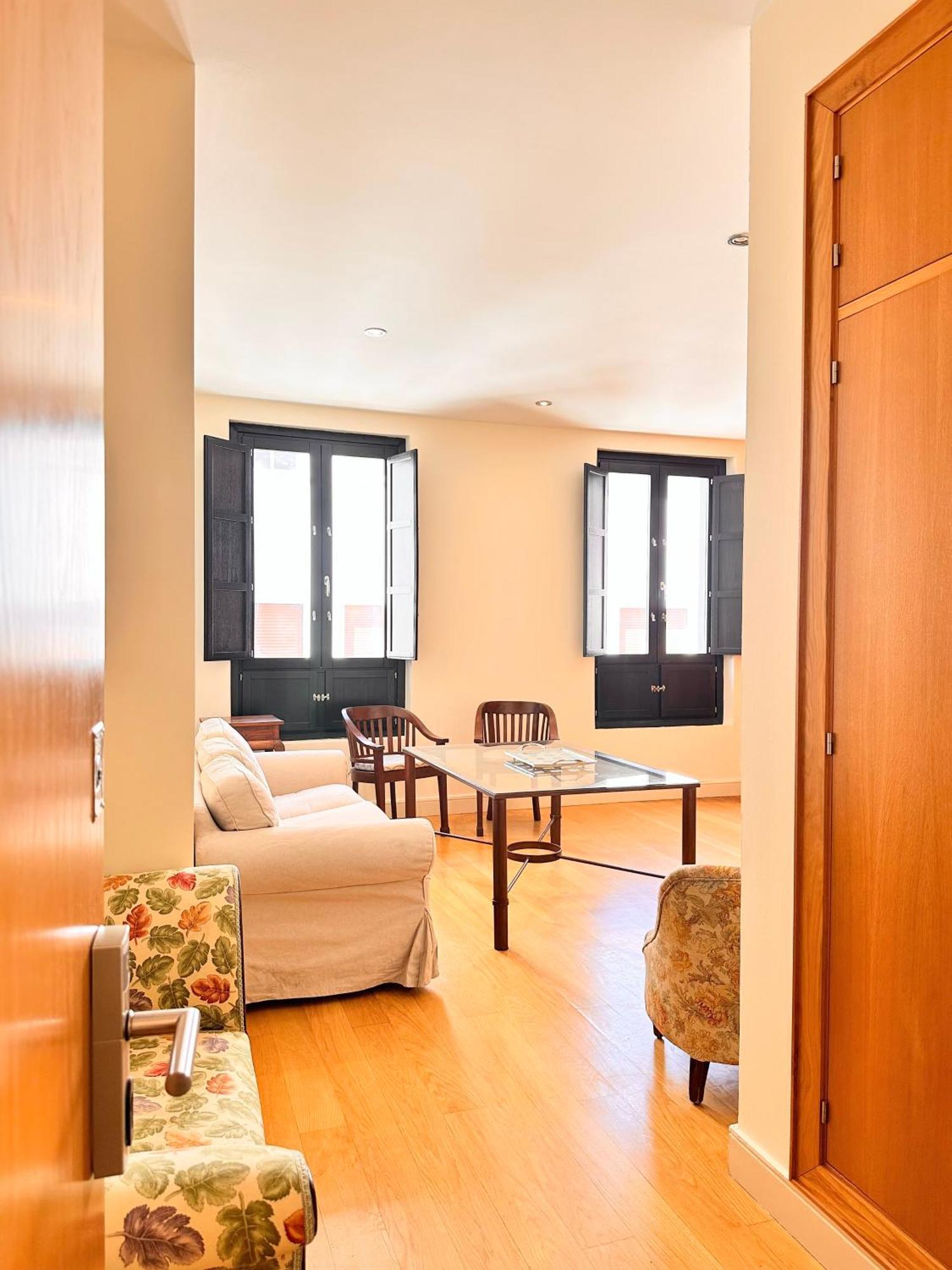 Penthouse Near Cathedral Private Rooftop Private Parking 塞维利亚 外观 照片